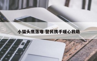 小猫头鹰落难 警民携手暖心救助