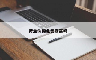 荷兰侏儒兔智商高吗