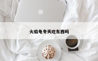 火焰龟冬天吃东西吗