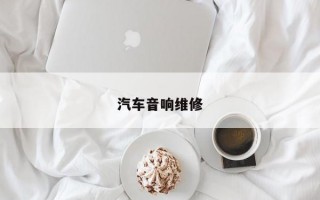 汽车音响维修