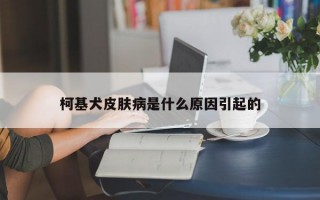 柯基犬皮肤病是什么原因引起的