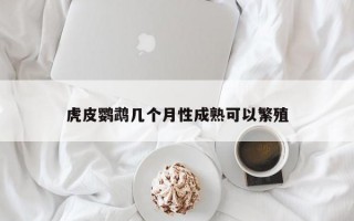 虎皮鹦鹉几个月性成熟可以繁殖