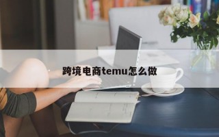 跨境电商temu怎么做