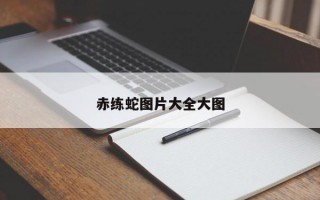 赤练蛇图片大全大图