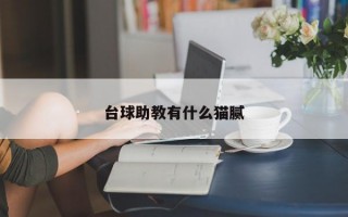 台球助教有什么猫腻