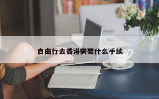 自由行去香港需要什么手续