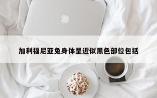 加利福尼亚兔身体呈近似黑色部位包括