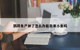 鹦鹉鱼产卵了怎么办能出来小鱼吗