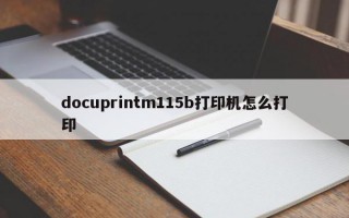 docuprintm115b打印机怎么打印