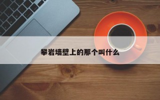 攀岩墙壁上的那个叫什么