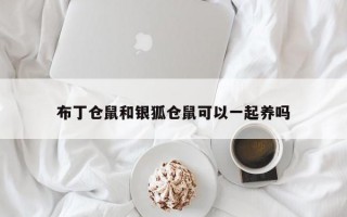 布丁仓鼠和银狐仓鼠可以一起养吗