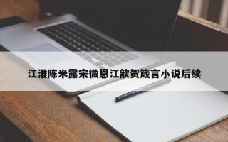 江淮陈米露宋微恩江歆贺箴言小说后续