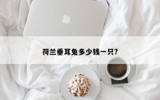 荷兰垂耳兔多少钱一只?