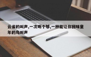 云雀的叫声,一次听个够,一种能让你回味童年的鸟叫声