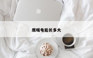 鹰嘴龟能长多大