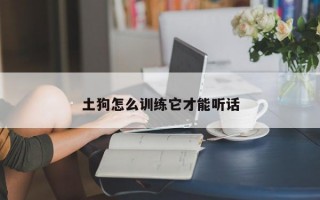 土狗怎么训练它才能听话