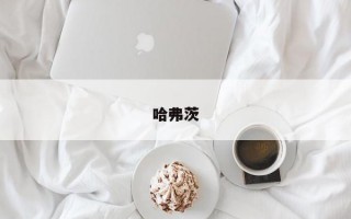 哈弗茨