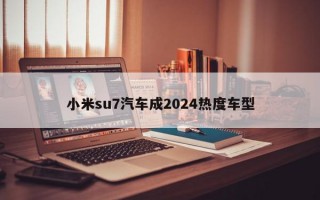 小米su7汽车成2024热度车型