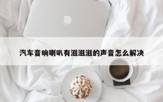 汽车音响喇叭有滋滋滋的声音怎么解决