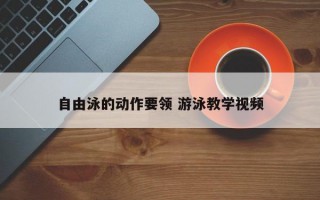 自由泳的动作要领 游泳教学视频