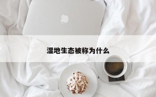 湿地生态被称为什么