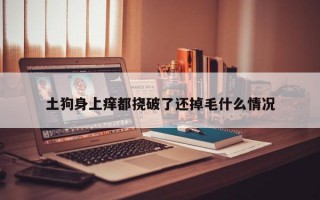 土狗身上痒都挠破了还掉毛什么情况