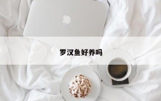 罗汉鱼好养吗