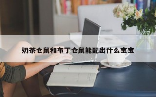 奶茶仓鼠和布丁仓鼠能配出什么宝宝