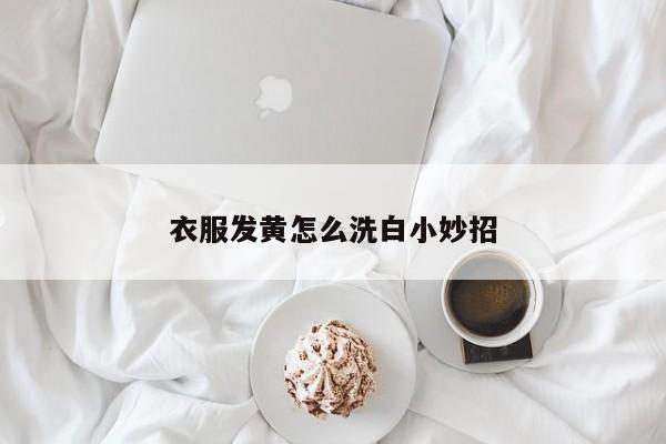 衣服发黄怎么洗白小妙招-第1张图片-百科网-生活百科,科技百科,汽车百科,财经百科,情感百科,数码百科,旅游百科,运动百科,宠物百科,花鸟鱼虫等百科大全