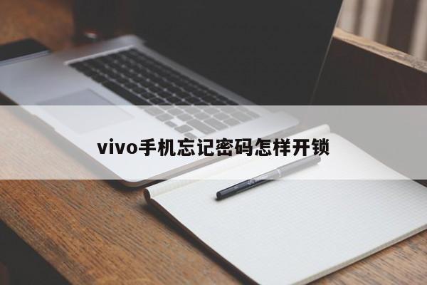 vivo手机忘记密码怎样开锁-第1张图片-百科网-生活百科,科技百科,汽车百科,财经百科,情感百科,数码百科,旅游百科,运动百科,宠物百科,花鸟鱼虫等百科大全