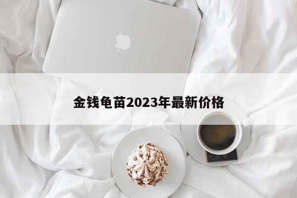 金钱龟苗2023年最新价格-第1张图片-百科网-生活百科,科技百科,汽车百科,财经百科,情感百科,数码百科,旅游百科,运动百科,宠物百科,花鸟鱼虫等百科大全