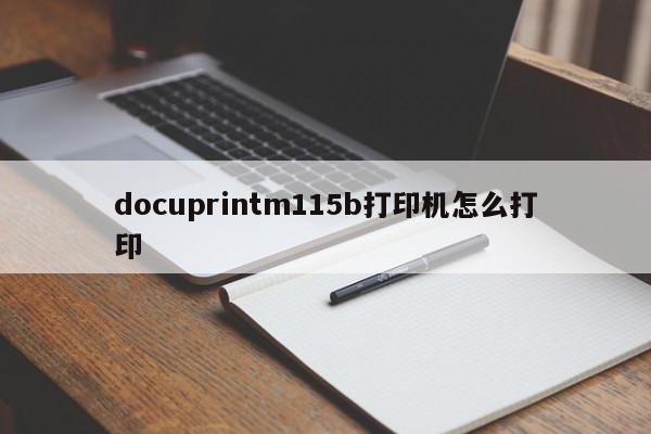 docuprintm115b打印机怎么打印-第1张图片-百科网-生活百科,科技百科,汽车百科,财经百科,情感百科,数码百科,旅游百科,运动百科,宠物百科,花鸟鱼虫等百科大全