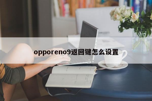 opporeno9返回键怎么设置-第1张图片-百科网-生活百科,科技百科,汽车百科,财经百科,情感百科,数码百科,旅游百科,运动百科,宠物百科,花鸟鱼虫等百科大全